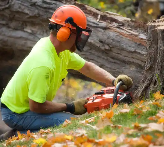 tree services Washingtonville